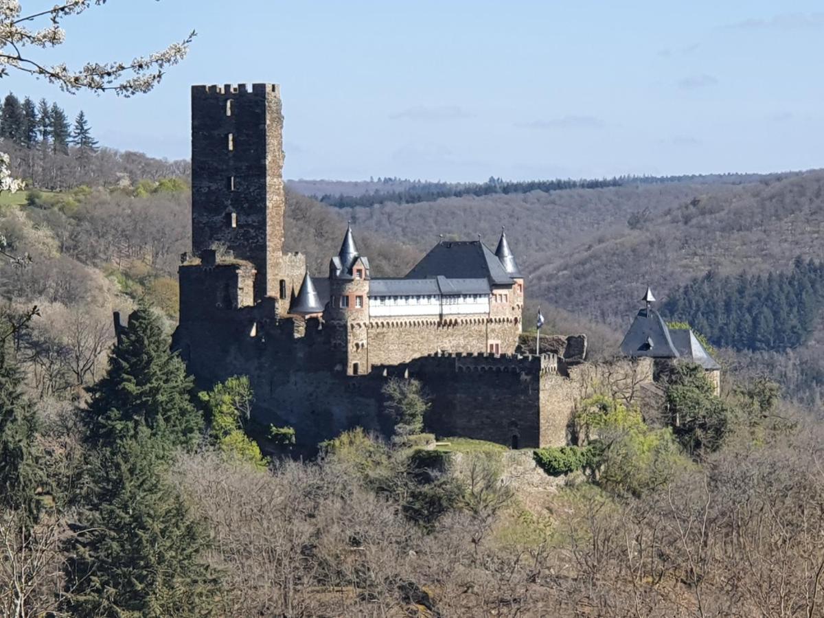 Am Burggraben Auf Der Sauerburg Lejlighed Sauerthal Eksteriør billede